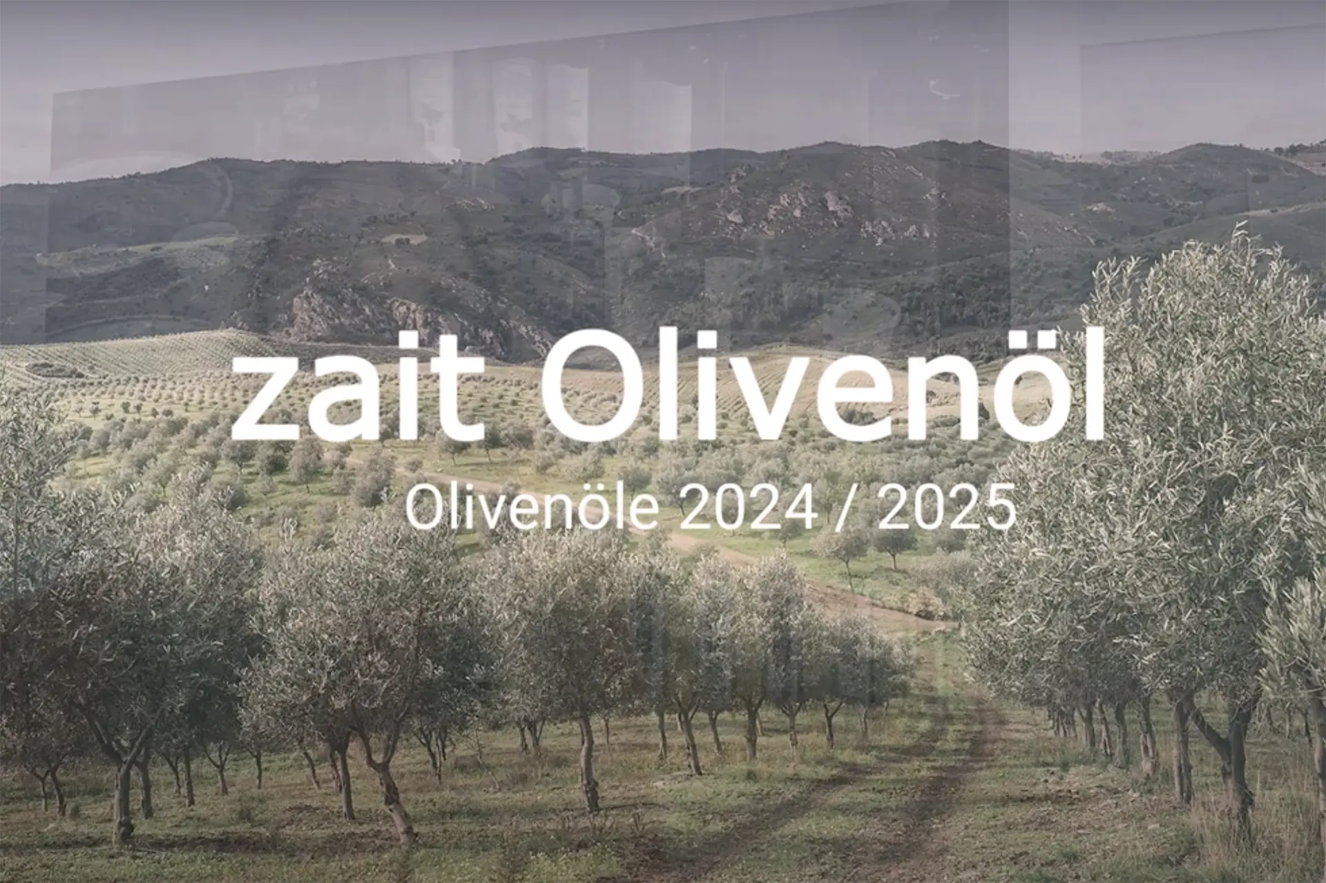 Titel für Verkostungsvideo der zait Olivenöle 2025