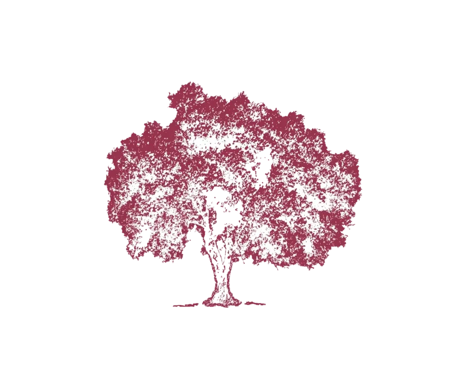 logo baum trasparent klein