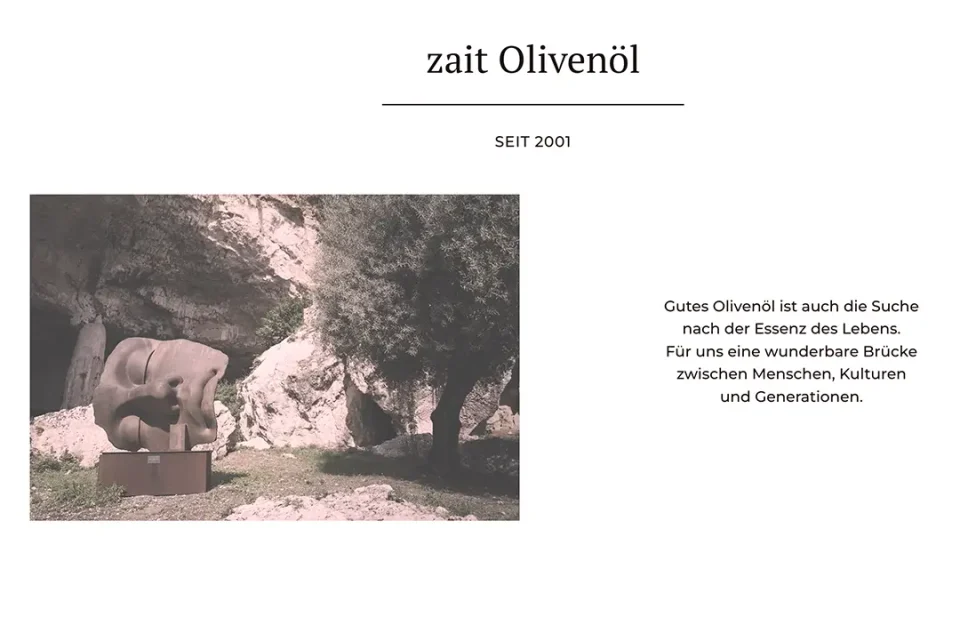 Ein Ausschnitt der neuen Webseite von zait.